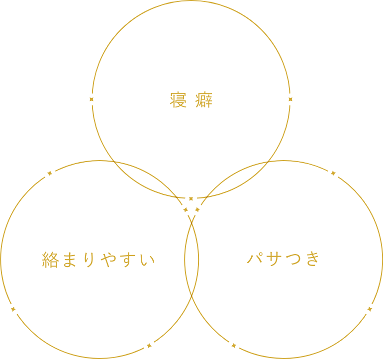 寝癖 絡まりやすい パサつき