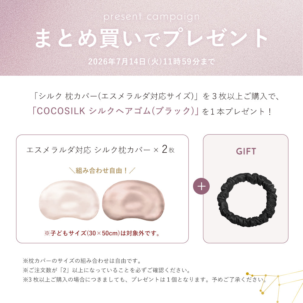 COCOSILK シルク 枕カバー エスメラルダ 呼吸するドーナツ枕 スライド