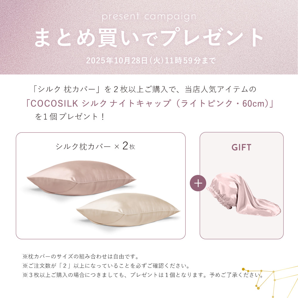 シルク 抱き枕カバー ハグモッチ対応サイズ